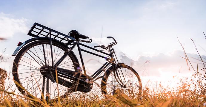 साइकिल उद्योग